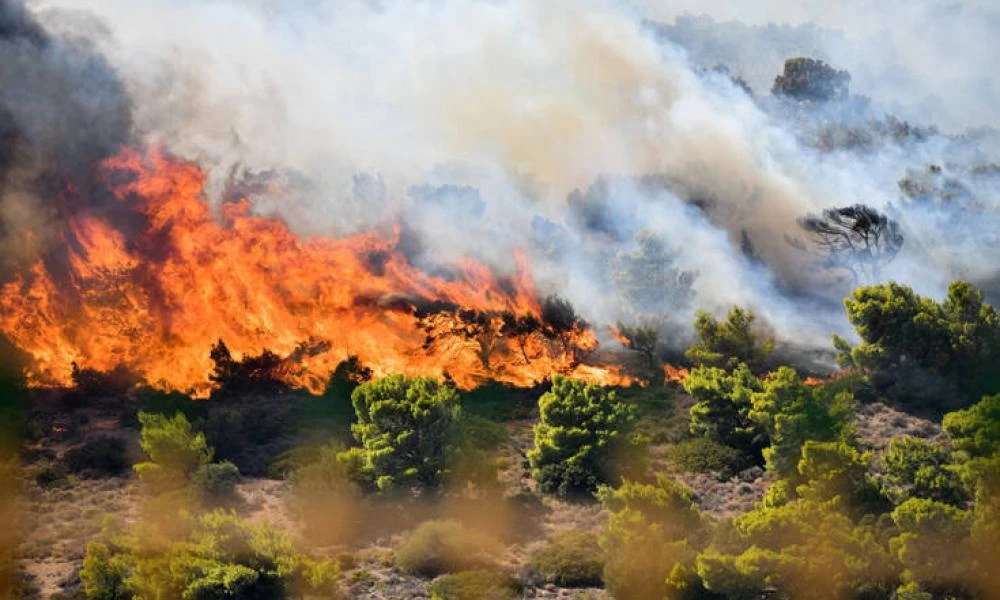 Φωτιά τώρα στη Ζάκυνθο